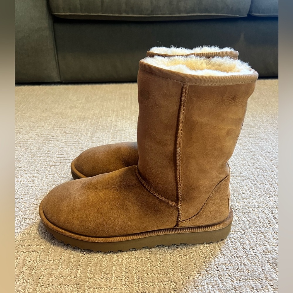 UGG Classic Short Boots (gently worn size 8)